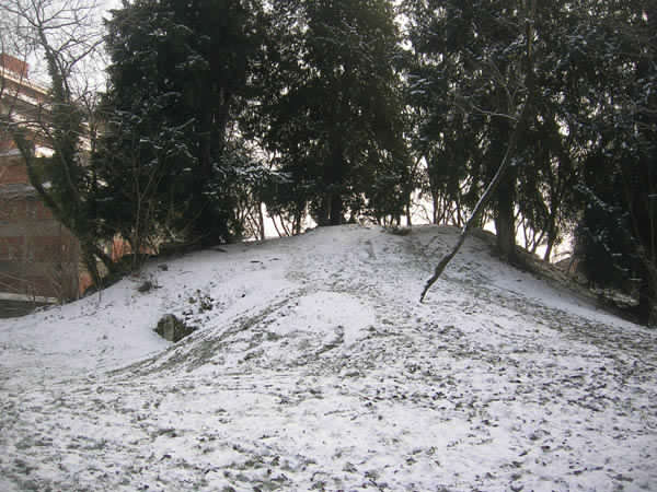 Parco di Villa Finzi. La montagnola